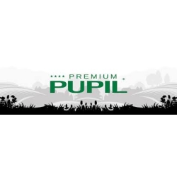 PUPIL
